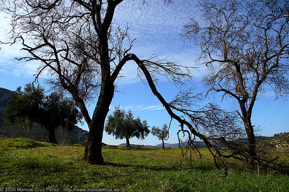 Imagen 47 de la galería de 